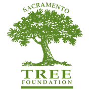 sacramento-tree-foundation-logo